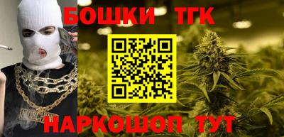 индика Пенза