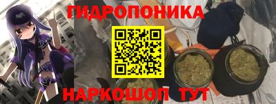 индика Пенза