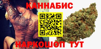 индика Пенза
