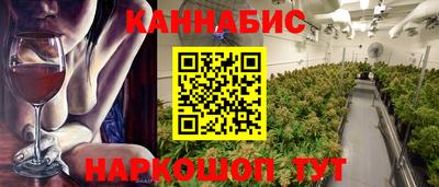 индика Пенза