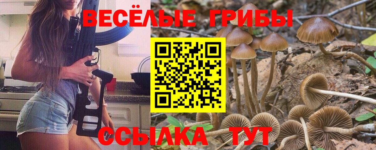 Галлюциногенные грибы прущие грибы Сергиев Посад
