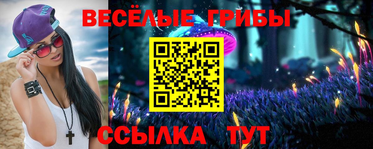 Сергиев Посад  Галлюциногенные грибы ЛСД  Вход с VPN 